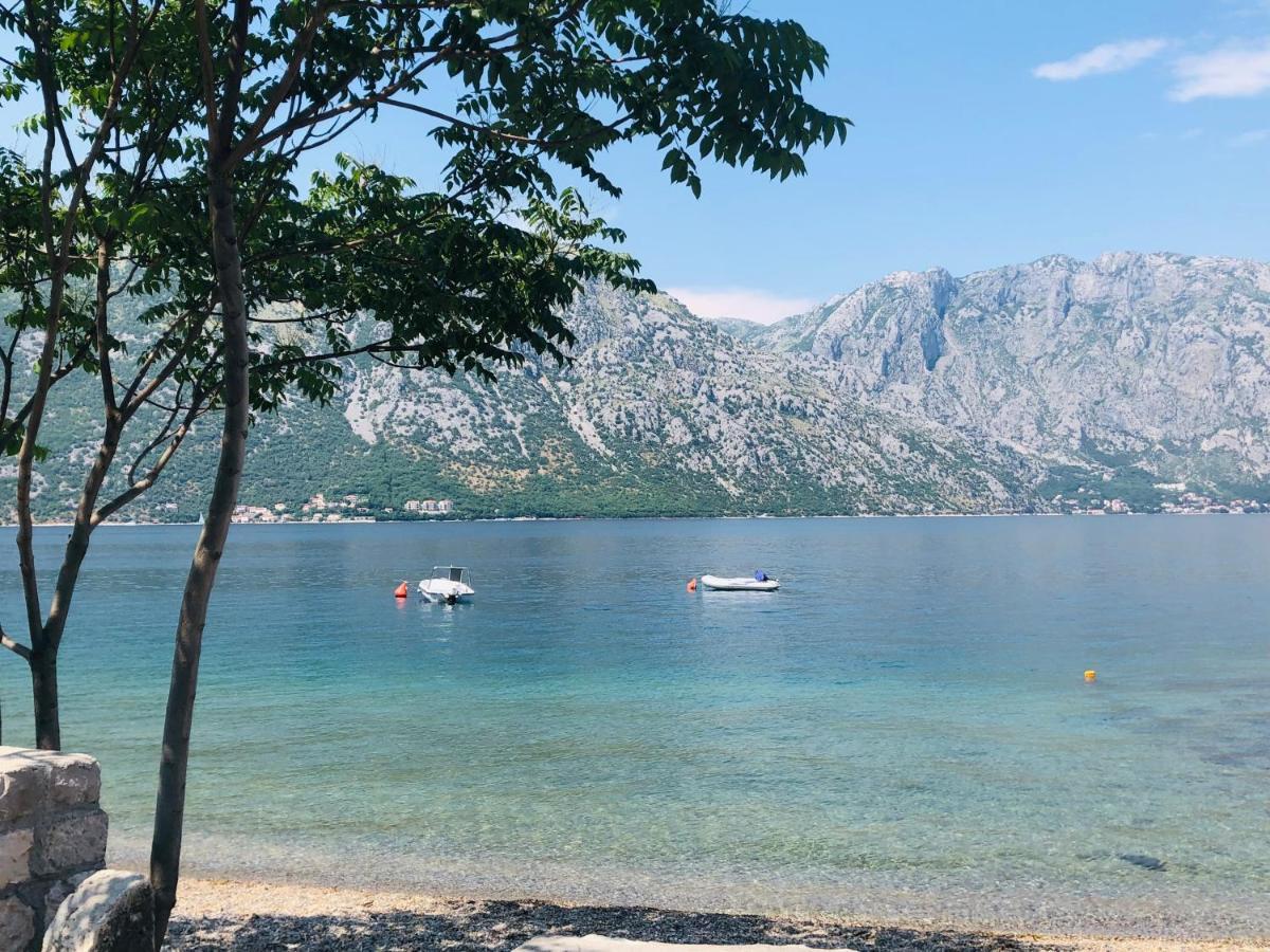 Villa Milami Κότορ Εξωτερικό φωτογραφία