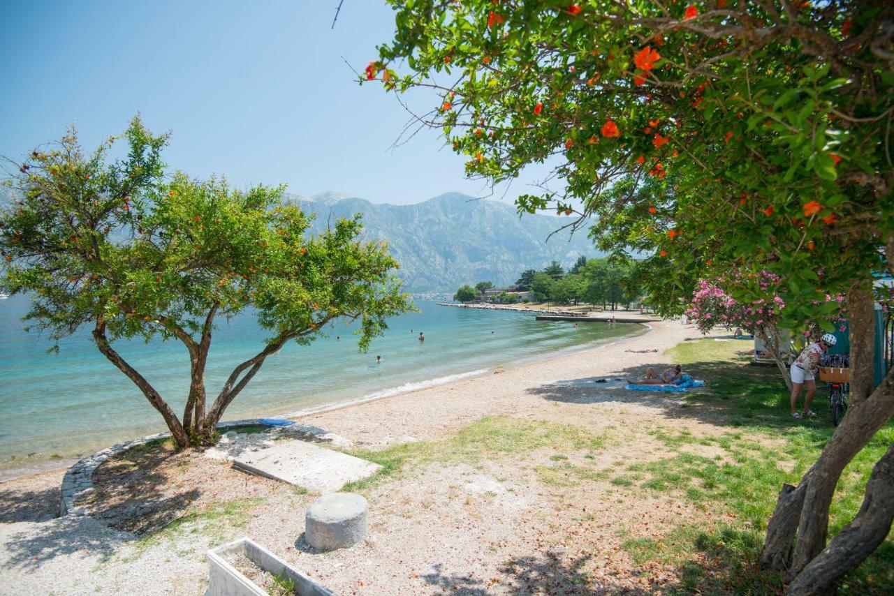 Villa Milami Κότορ Εξωτερικό φωτογραφία